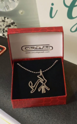 Collana con Circuito di Riola Sardo in acciaio  