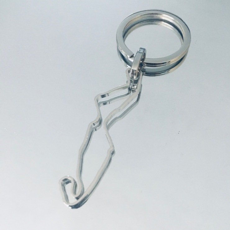 Assen circuit key ring in stainless steel