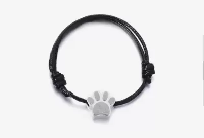 Pulseira de aço para animais de estimação 