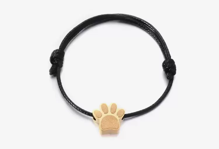 Pulseira para animais de estimação em aço dourado  