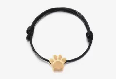Pulseira para animais de estimação em aço dourado 