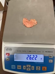 Coral engraved with floral subject 