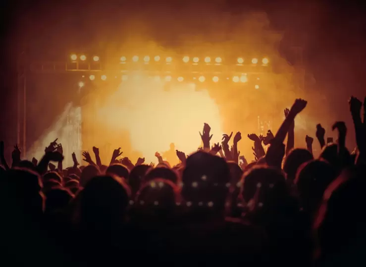 circuiti_gioielli-rock-bis.webp  - 